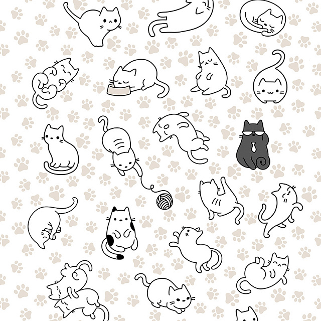 Котики 5563